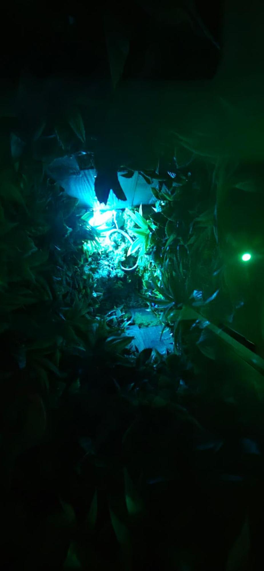 La Jungle Room Rognac Eksteriør bilde